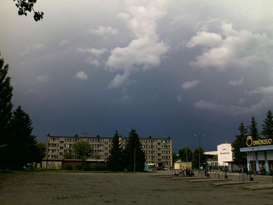 Obraz