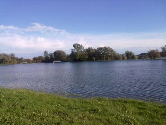 Obraz