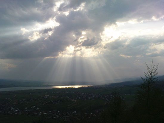 Obraz