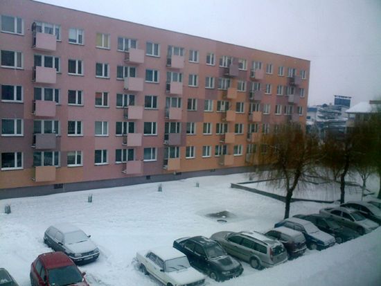 Obraz