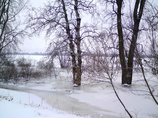 Obraz