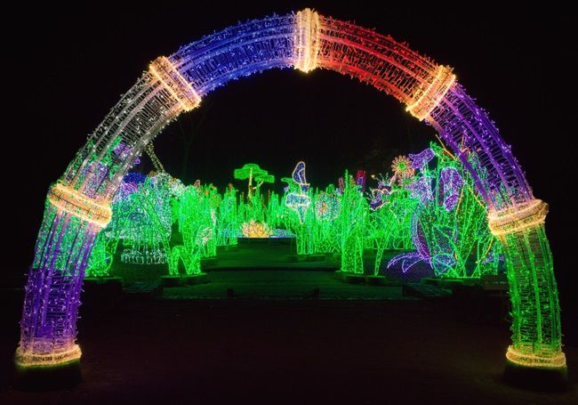 Magiczny Ogród Króla, Fot. Marcin Mastykarz/wilanow-palac.pl 