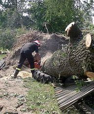Usuwanie skutków burzy w powiecie radomskim