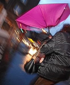 Huragan Kyrill zabija i sieje spustoszenie w Europie