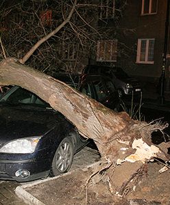 Skutki wichury: tysiące Polaków wciąż bez prądu