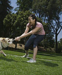 Wynajmij sobie psa na weekend