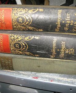 Historyk handlował w internecie bezcennymi zabytkami