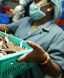 Brytyjczycy panikują: a jeśli wszyscy Polacy wyjadą?!