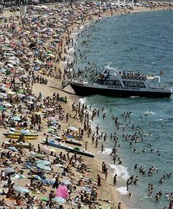 Turyści nie boją się rekinów mimo zakazu kąpieli