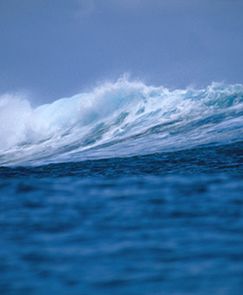 Brytyjskie i holenderskie wybrzeża szykują się na sztorm