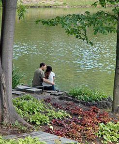 Rozwody szkodzą środowisku