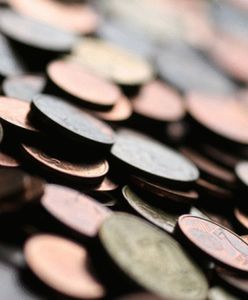 "Irlandia padła na twarz przez... Polaków"