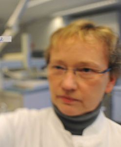 Wybito kilkaset świń, były skażone dioksynami