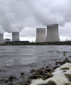 "Polska ma alternatywę dla elektrowni atomowych"