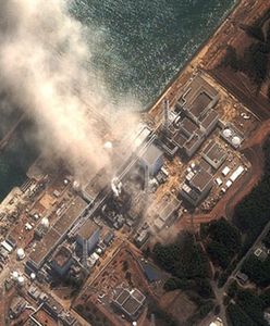 Gdzie przesunie się radioaktywna chmura znad Japonii?