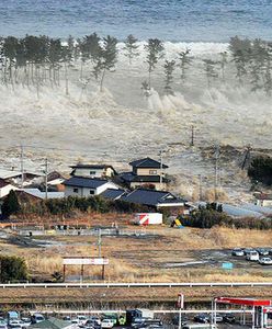 Tragiczny bilans tsunami - tysiące ofiar i zaginionych