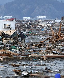 Japonia ma pomysł na szybką odbudowę po trzęsieniu