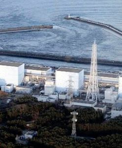 Dym wstrzymał prace w elektrowni atomowej