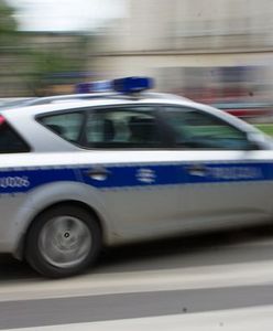 Pościg za polskimi złodziejami