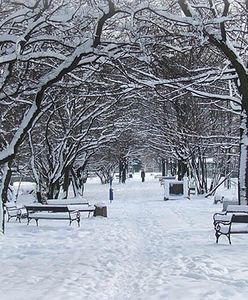 Czeka nas deszcz ze śniegiem i gołoledź