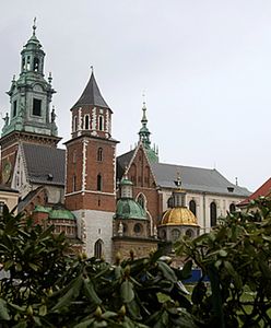 "Protestujący ws. Wawelu nie są prawdziwymi patriotami"