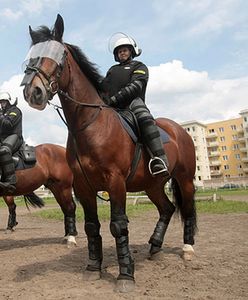 Amino, Sorbet i Izotop będą pilnować porządku w stolicy