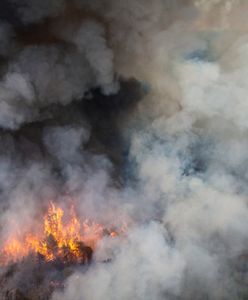 Teksas walczy z gigantycznymi pożarami - zobacz film