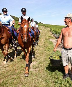 Grupa Polaków zatrzymana we Francji - zostali oszukani