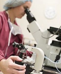 Naukowcy stworzyli sztuczną spermę - "to przełom"