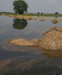 Prawie 400 mln strat po powodzi na Podkarpaciu