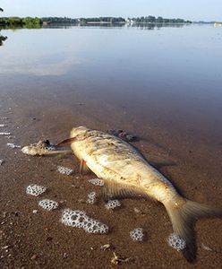 Co płynie z kranów w Warszawie? Na pewno nie woda