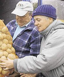 Rolnicy płaczą, bo ziemniaki popadły w niełaskę u konsumentów