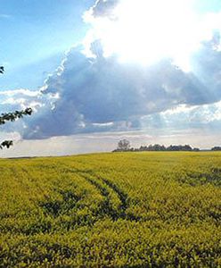 Prokuratura bada sprawę rekompensaty dla albertynek