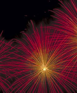 Nie wolno im strzelać na wiwat w Nowy Rok