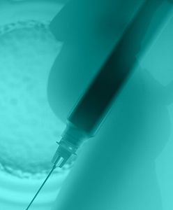 PO będzie odpowiadać w sprawie in vitro