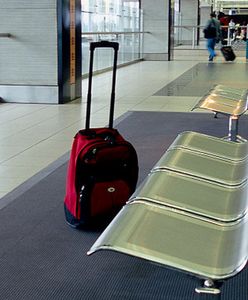 Fedak: Polacy wracają, ponieważ tęsknią za rodzinami