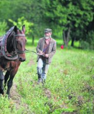 Agencja Nieruchomości Rolnych do likwidacji. Ziemia dla rolników, grunty nierolne dostaną samorządy