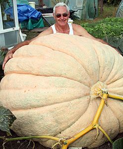 Ma już ponad pół tony i nadal rośnie