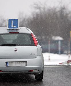 PiS chce zwiększyć zdawalność egzaminów na prawo jazdy. Co na tym zyska?