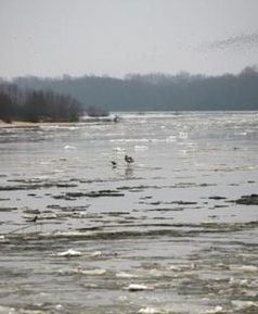 Wielka woda zaleje Warszawę? "Będziemy przygotowani"