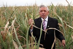 "Susza nie spowoduje wzrostu inflacji"