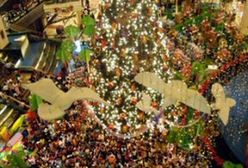 Choinki "zbyt amerykańskie" dla władz Wenezueli