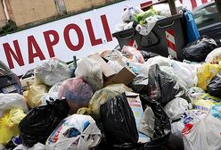 Jak zarobić 200 tys. euro dziennie na śmieciach