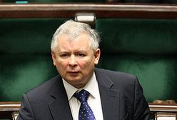 Sondaż: PO - 46% poparcia; PiS - 16%