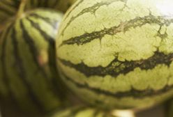 Arbuzowy chłodnik z miętą najlepszy na festiwalu zupy