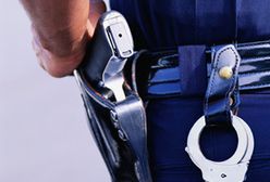 Brazylijski rząd zapłaci za każdą oddaną sztukę broni