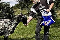 Jedyne takie więzienie