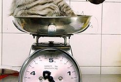 Samice hien nie lubią "chłopców" z sąsiedztwa