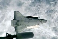 Prom Endeavour mógł zostać trafiony kawałkiem lodu