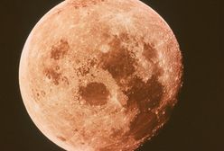 30 mln dolarów za umieszczenie robota na Księżycu